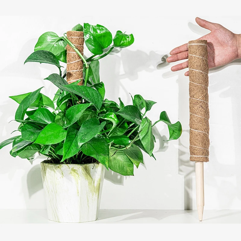

1PC lant Cages Supports Reusable Plant Climbing Stand Durable Flower Plants Support for Balcony Garden Courtyard Easy to Use
