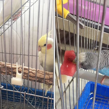 5Pcs Fruit Fork Parrot Pet Bird Plastic Food Holder Feeding on Cage for Hamster Rat 2 Size S/L Fruit Fork Parrot Fruit Fork 5