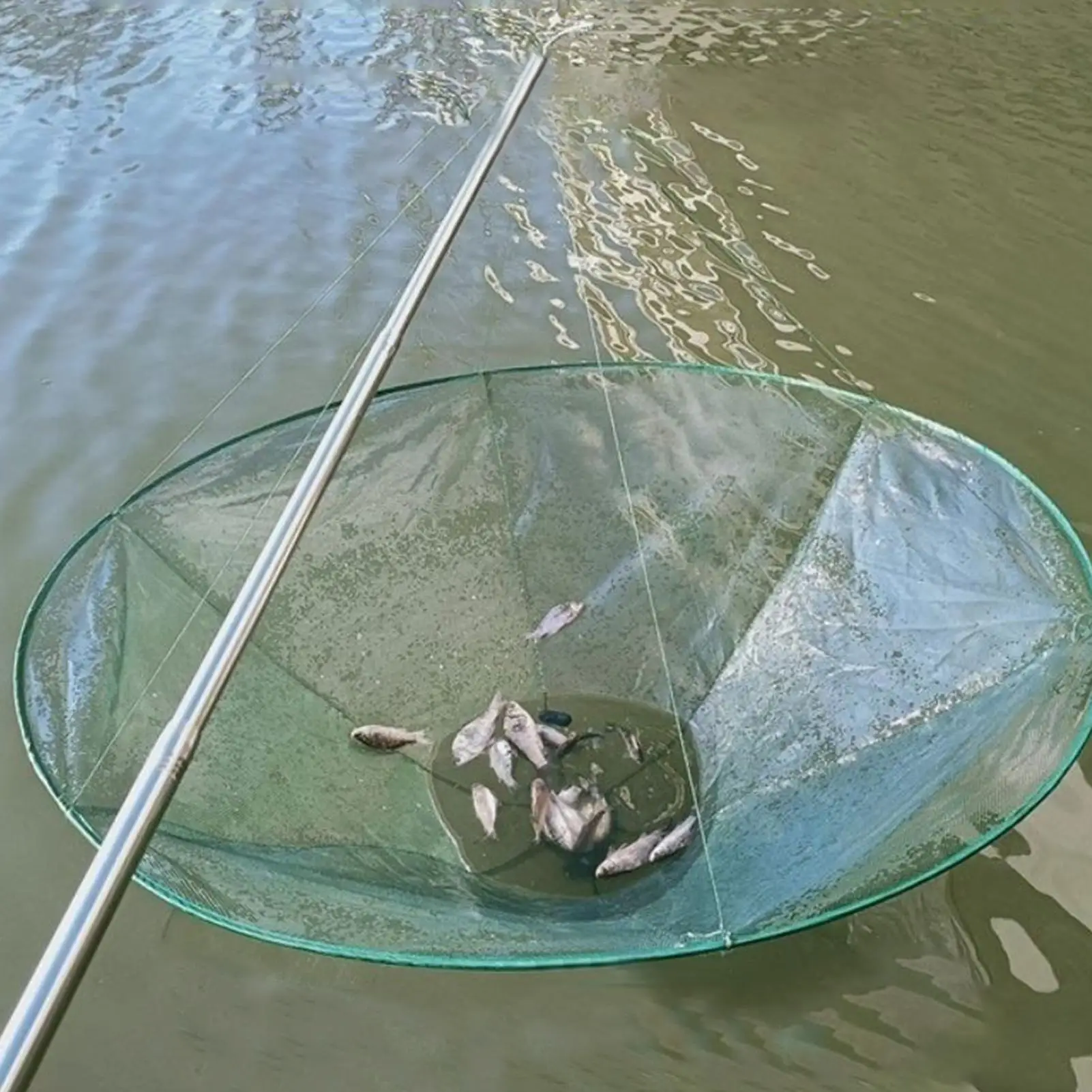 100/80CM Große Runde Folding Drop Fischernetz Garnelen Catcher Tank Casting Netzwerk Fisch Aale Falle Käfig Garnelen köder Krabben Netting – Detail 2