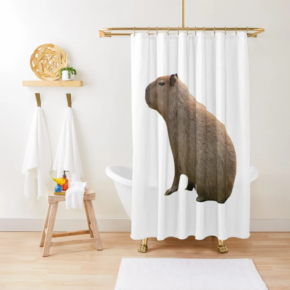 

Capybara Sits Shower Curtain Waterproof Bath And Anti-Mold Cover Luxury Bathroom Shower Curtain