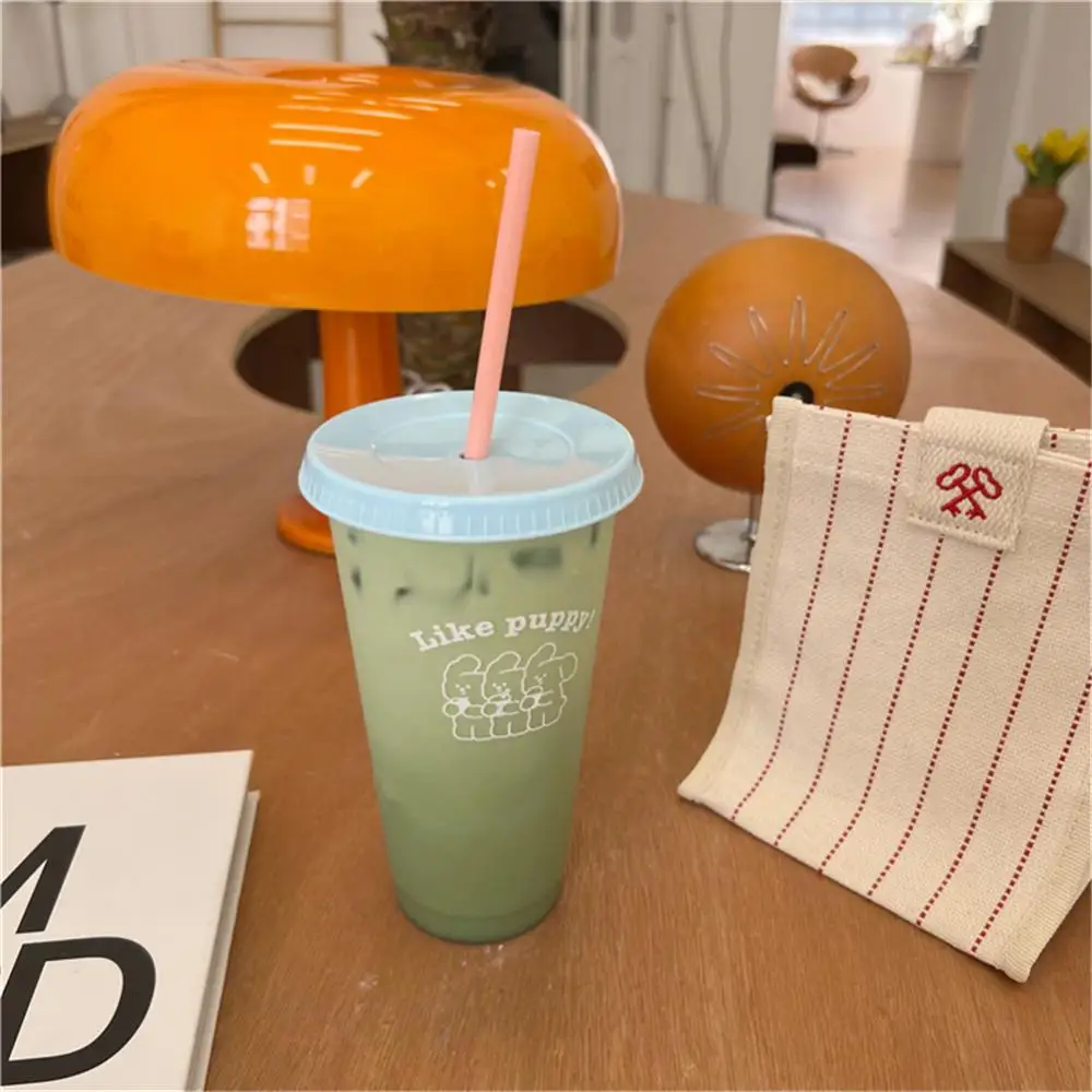 https://ae01.alicdn.com/kf/S30cdc5d9826d4d8c91a49fa642fa8d27c/Cute-Water-Bottle-Korean-Style-Coffee-Juice-Milk-Cups-Kawaii-Plastic-Cold-Cups-With-Lid-Straw.jpg