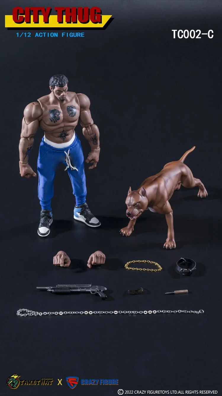 Collection TAKETHAT X CRAZY FIGURE TC002 1/12 Scale Male