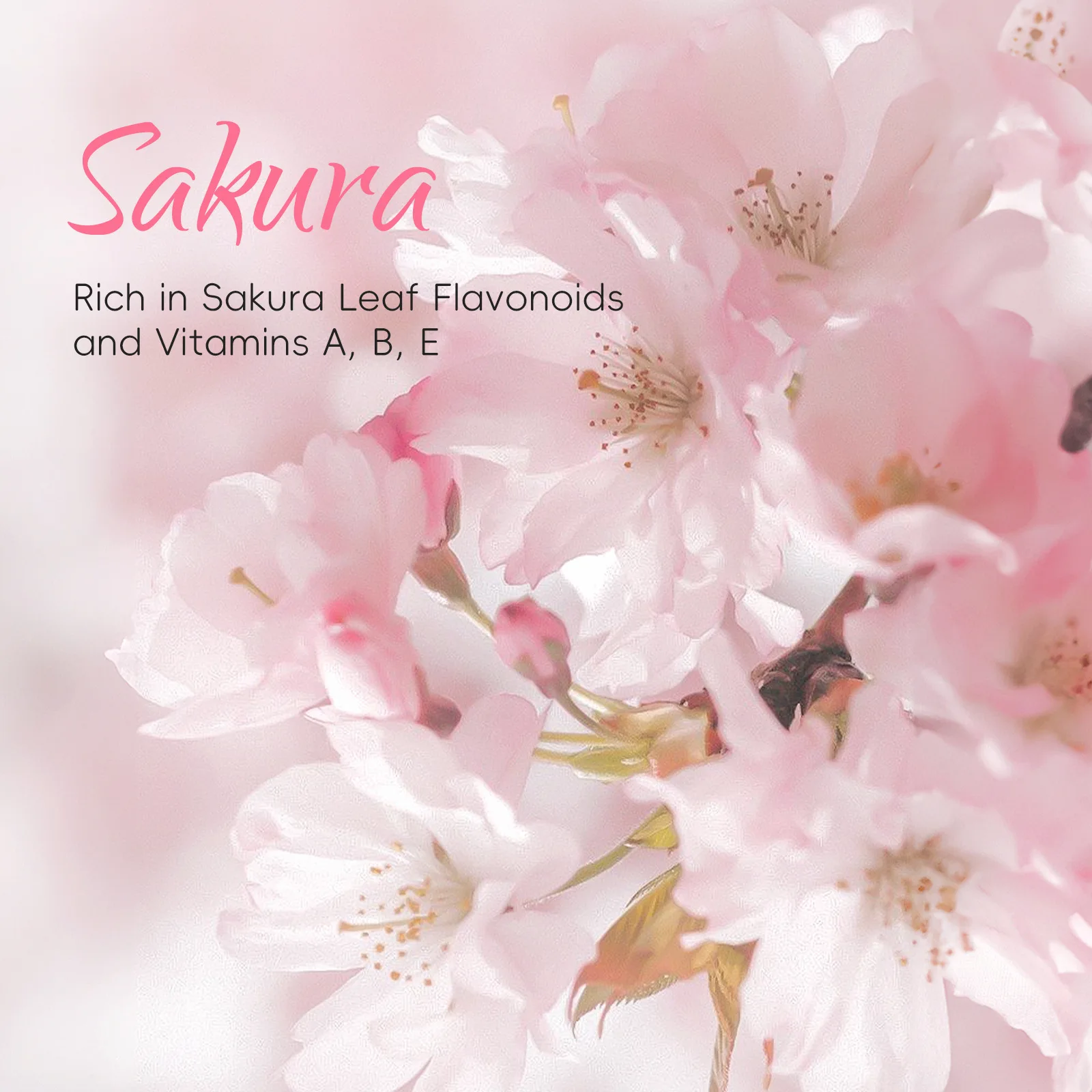 LAIKOU Sakura Shower Gel Long Moisturizing Smooth Long Lasting Fragrance Gentle Foam Body Cleansing Bath Product 400ml