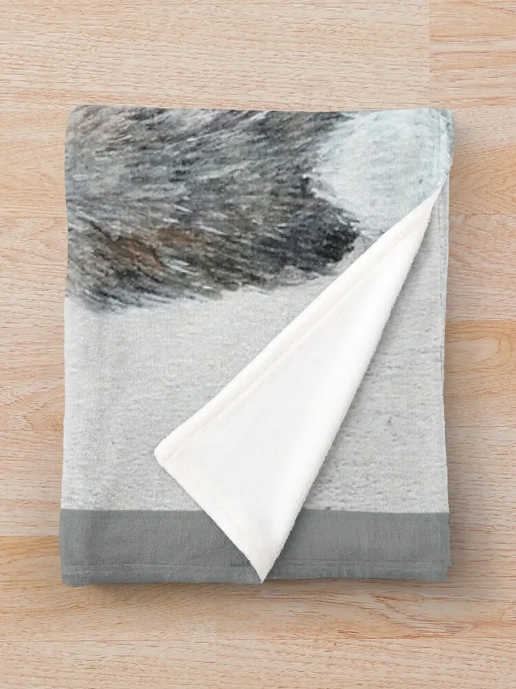 �䳢 ������ ���, ħ��� ���� ���, ���Ŀ� ���� ����, ���ſ� ķ�� ���