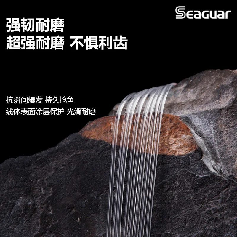 Seaguar-Fluorocarbon Fishing Line Monofilament Carp Wire Japan Original Shock Leader Red Label