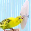 Cuttle Bone Natural Bird Cuttlebone Bird Sharp Beaks Cuttlefish Bone Cuddle Bone Toy Chew Toys For Reptiles Snails Turtles 2
