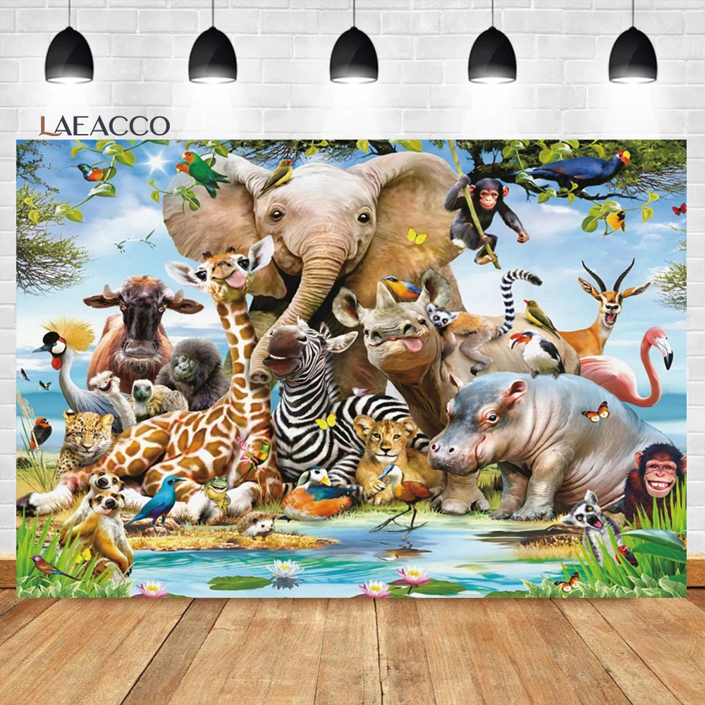 Laeacco      ĸ Ƽ  , ̺  ,  