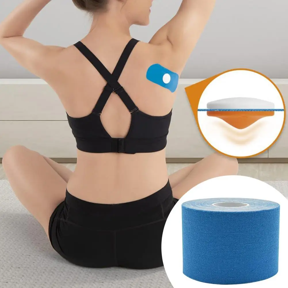 3 /  ġ    Kinesiology     Kinesiology  ŰƮ