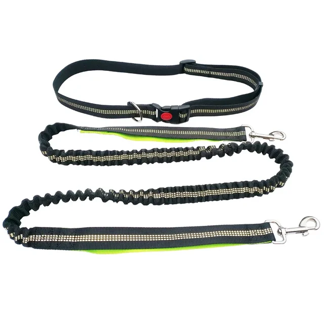 Multi-Functional Running Dog Leash Sport Dog Leash with Dog-Friendly Material Directly From Manufacturer Home Supplies 2