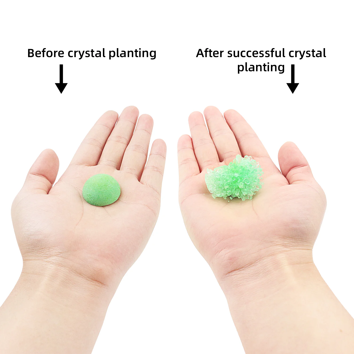 Crystal Growing Science Kit for Fun Parent-Child Chemistry Exploration