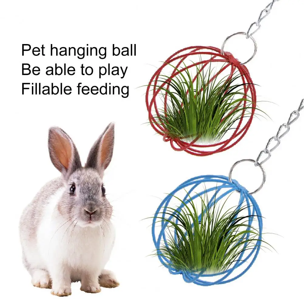 Pet Toys Hamster Toy Pet Grass Ball Hanging Long Chain Round Rabbit Grass Ball Small Metal Hamster Grass Ball Rack Guinea Pig Feeder Pet Toy Pet Supplies