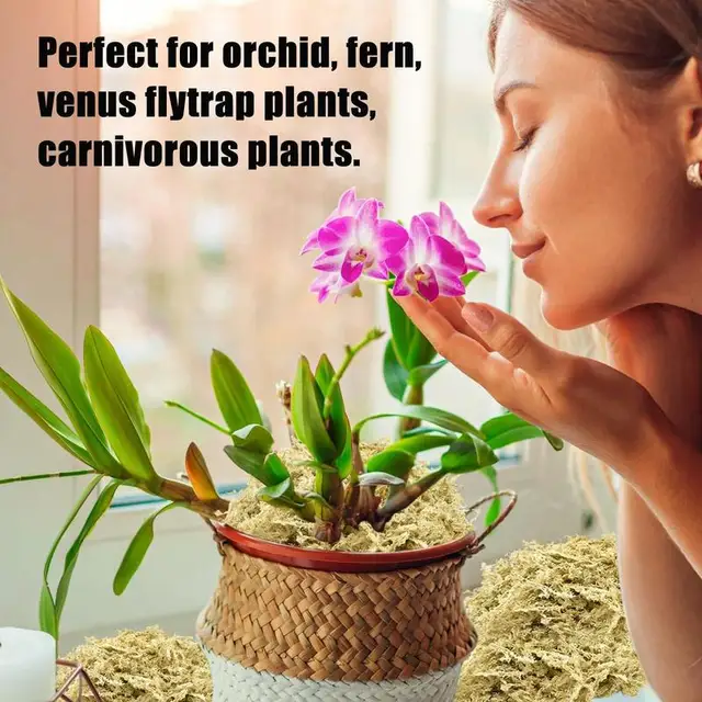 Természetes Sphagnum Sűrített Mohás Szerves Táplálkozási Műtrágya Orchidea Szárított Moha Védje A Kertészeti Növények Nedvességtartalmát - Image 5