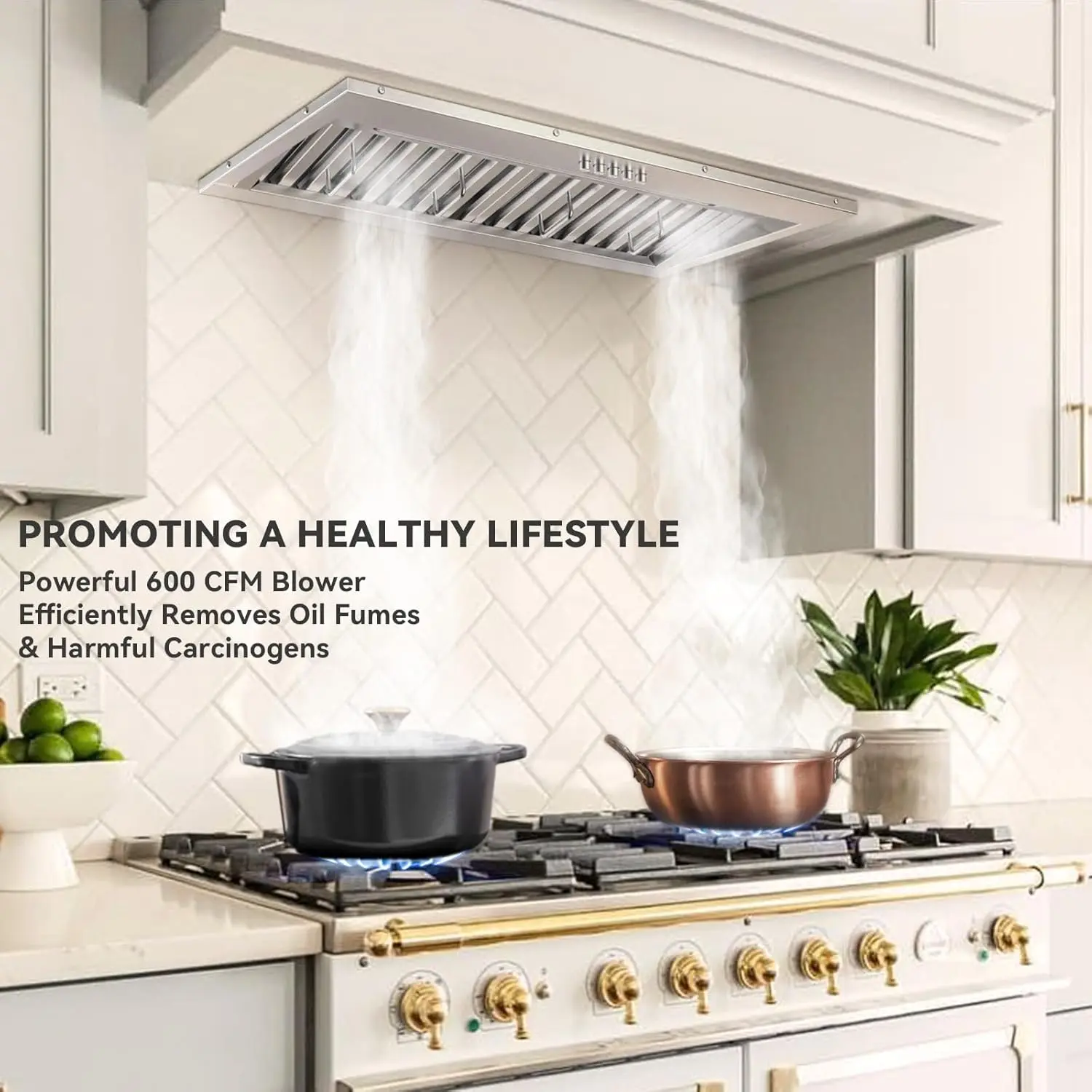 Range Hood with 3 Speed Exhaust Fan, Stainless Steel Range Hoods From