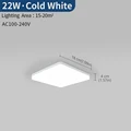 22W Cold White