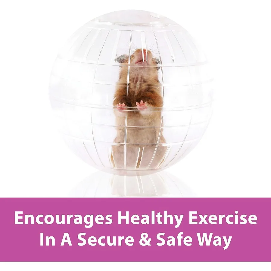 7 Clear RunAbout Exercise Ball for Pet Hamsters Gerbils Safe Transparent and Durable Indoor Activity Solution for Small Rodents 2