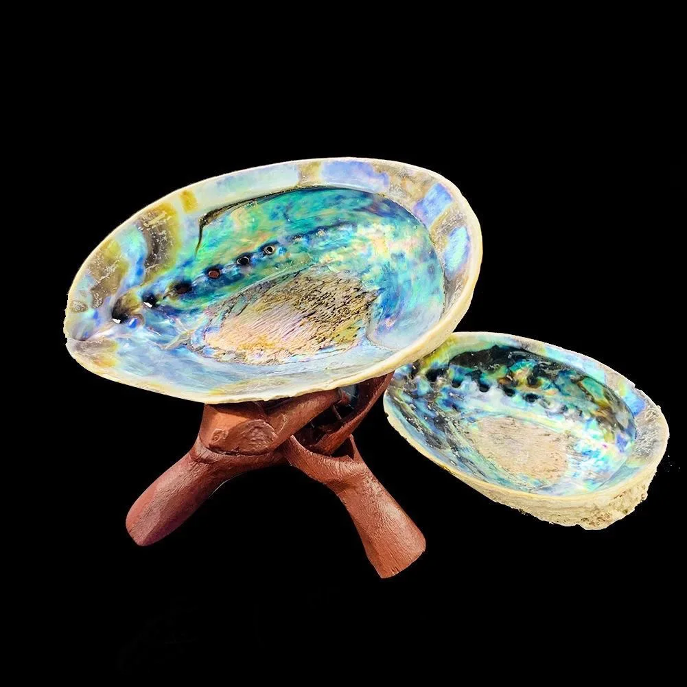 Abalone Shell with Wooden Tripod Stand With Natural White Sage Smudge Sticks