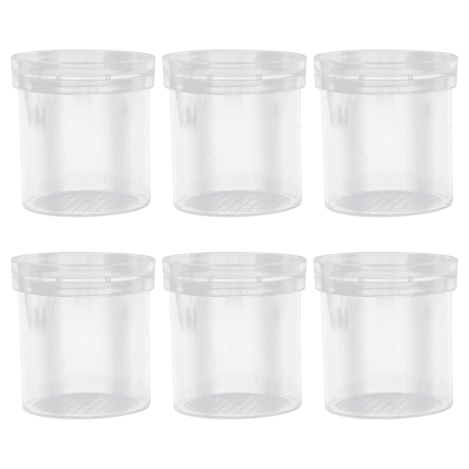 6 Pcs Insect Breeding Box (6pcs) Exploration Viewer Cup Plastic Jar Toy Magnifier Pvc Biology Science Observer