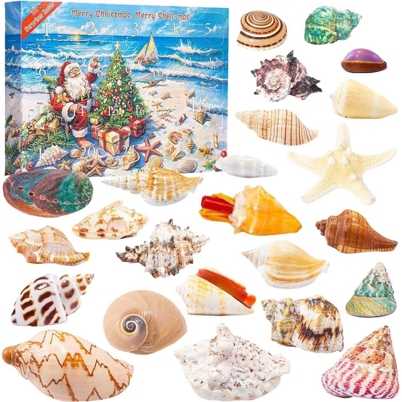 Seashells 24 Days Christmas Countdown Calendar Christmas Advent Calendar Xmas Countdown Calendar Holiday Gift for Kids