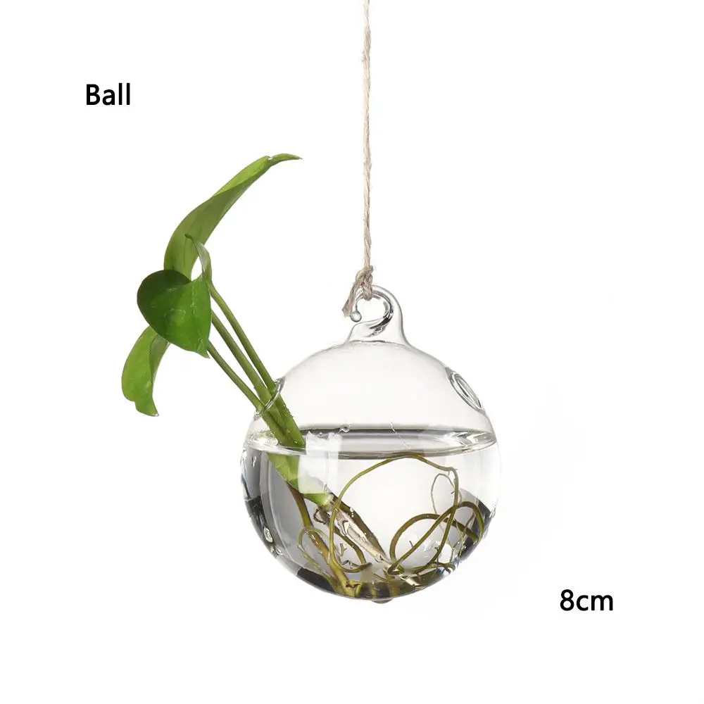 Elegant Hanging Glass Terrarium Vase for Hydroponic Plants and Home Decor