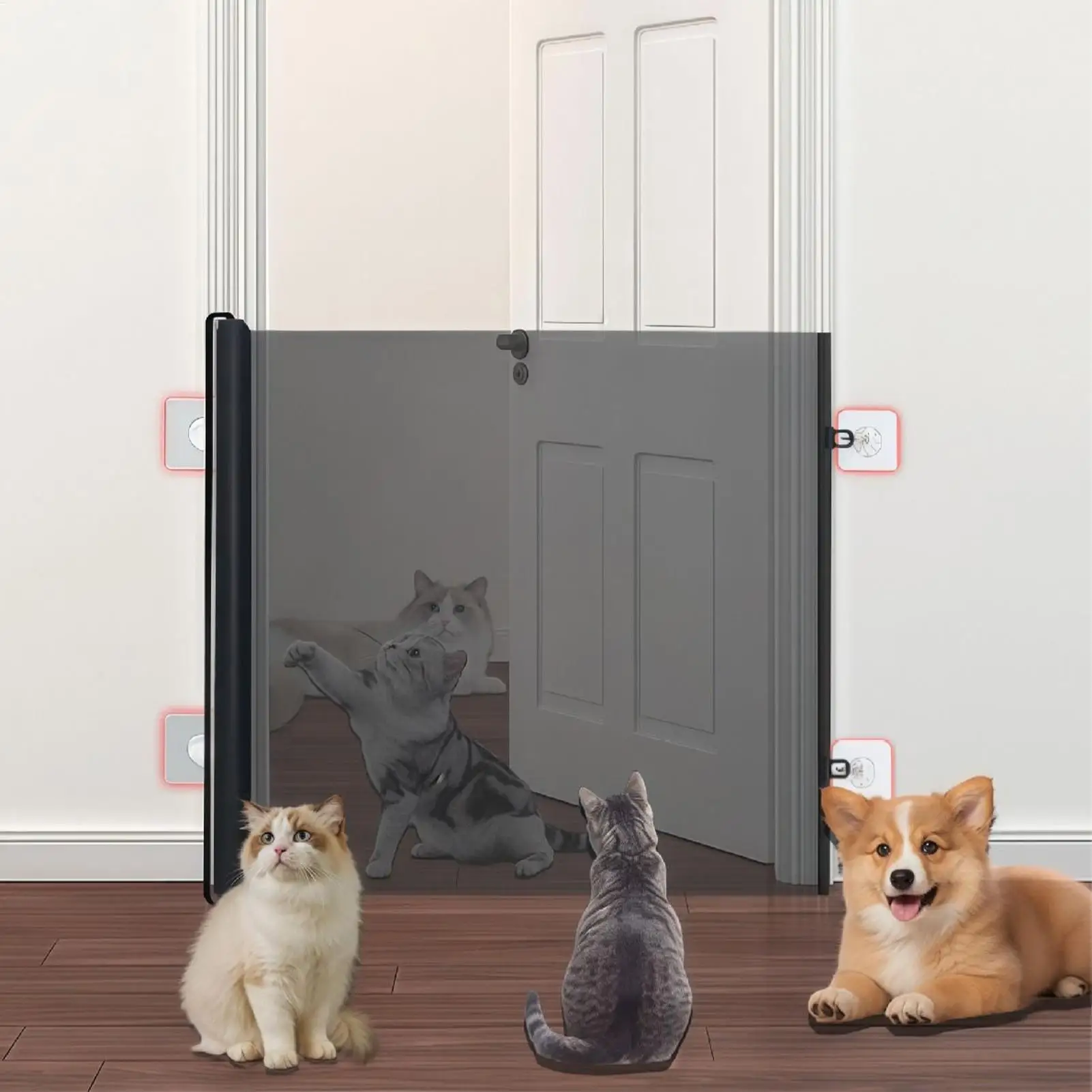 Slide image f483e81f05bf46b08ae8aecf037e2139