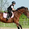 30/45/54/60CM Riding Crop PU Leather Horse Crop Whip Horse Double Slapper Horse Whip With Equestrianism For Horses  Outdoor 3