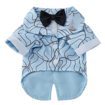 Teddy Autumn Dog Suit 1