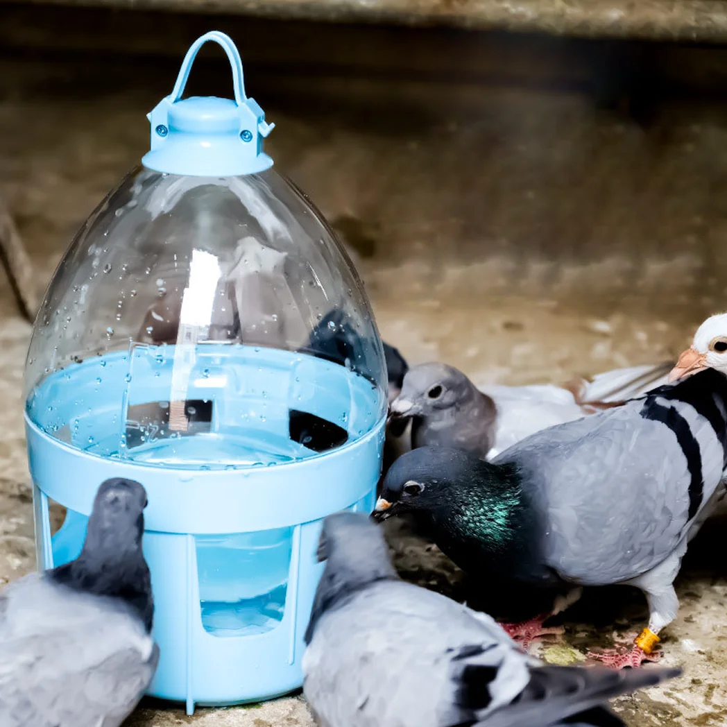 Pigeon Supplies/Pigeon Feeder/Dove Water Drinker/Bird Supplies Drinker/Pigeon Water Dispenser-2L Bird Dispenser