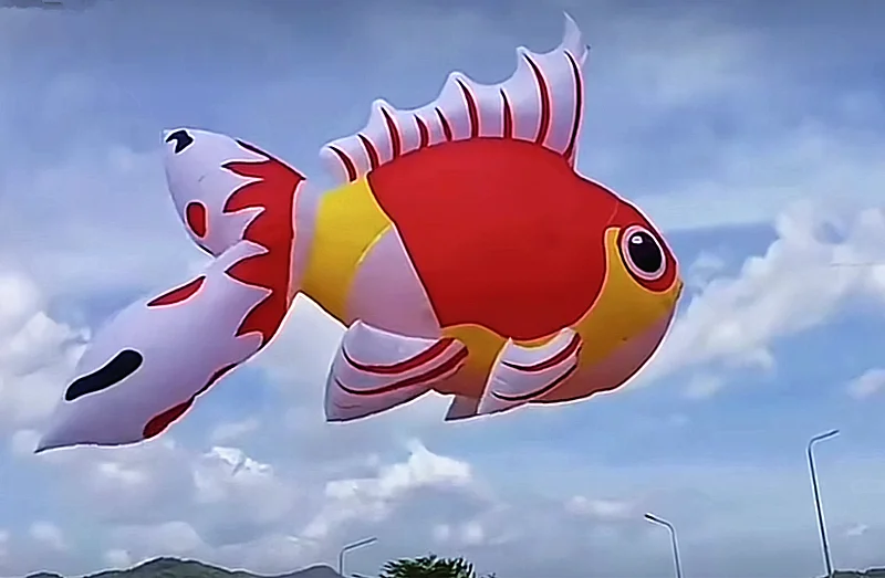 5 m großer Goldfischdrachen-Anhänger, aufblasbare Alien-Drachen, Fabrik, neuer Drachen, Fallschirmdrachen, weicher Drachen, Surfen, Drachen, Koi, Cerf Volant – Detail 4