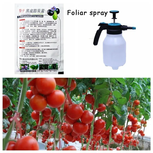 5 db Speciális Műtrágya Paradicsom És Padlizsán Zöldségkerti Növények Elősegítése A Rizóma Növekedési Gyökér Növényi Hidroponikus Farmon - Image 3