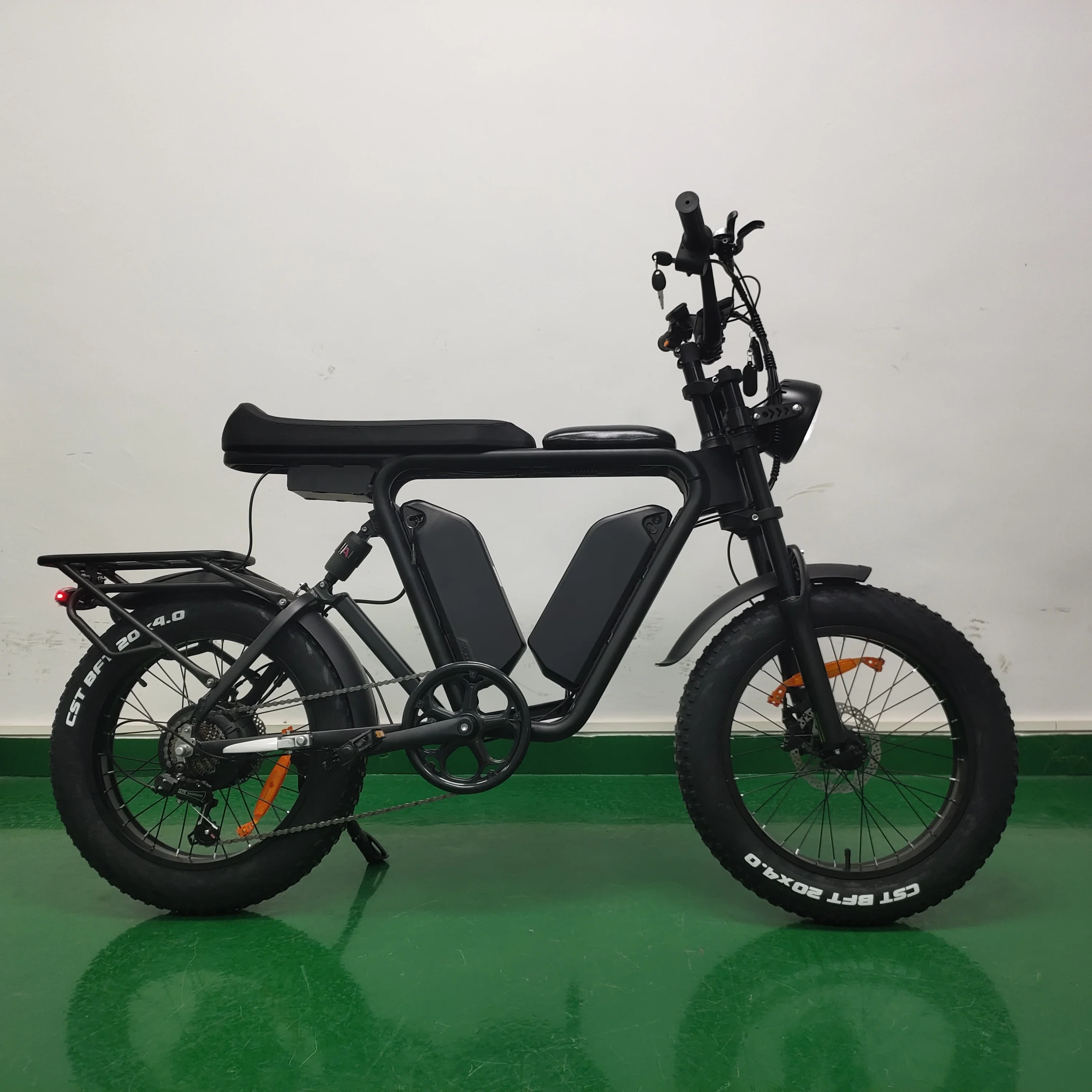 Long Range Electric EBike 22ah*2 Dual Batteries E Bike 1000w 48v Fat Tire Bicycle