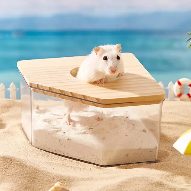 Hamster Golden Bear Sand Bath Box 4