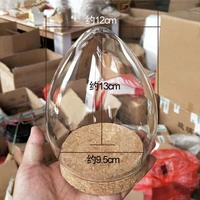 8set/pack Different Mini Size Handmade Glass Dome Vase Home Decor Cork Base Egg Shaped Transparent Cover DIY Gift Wedding Prop 2