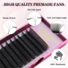 Lashonly 3D 4D 5D 6D W Automatic Flowering Premade Fans Lash Extension Clusters Volume Lashes  Full Dense Natural Soft Grafting 5