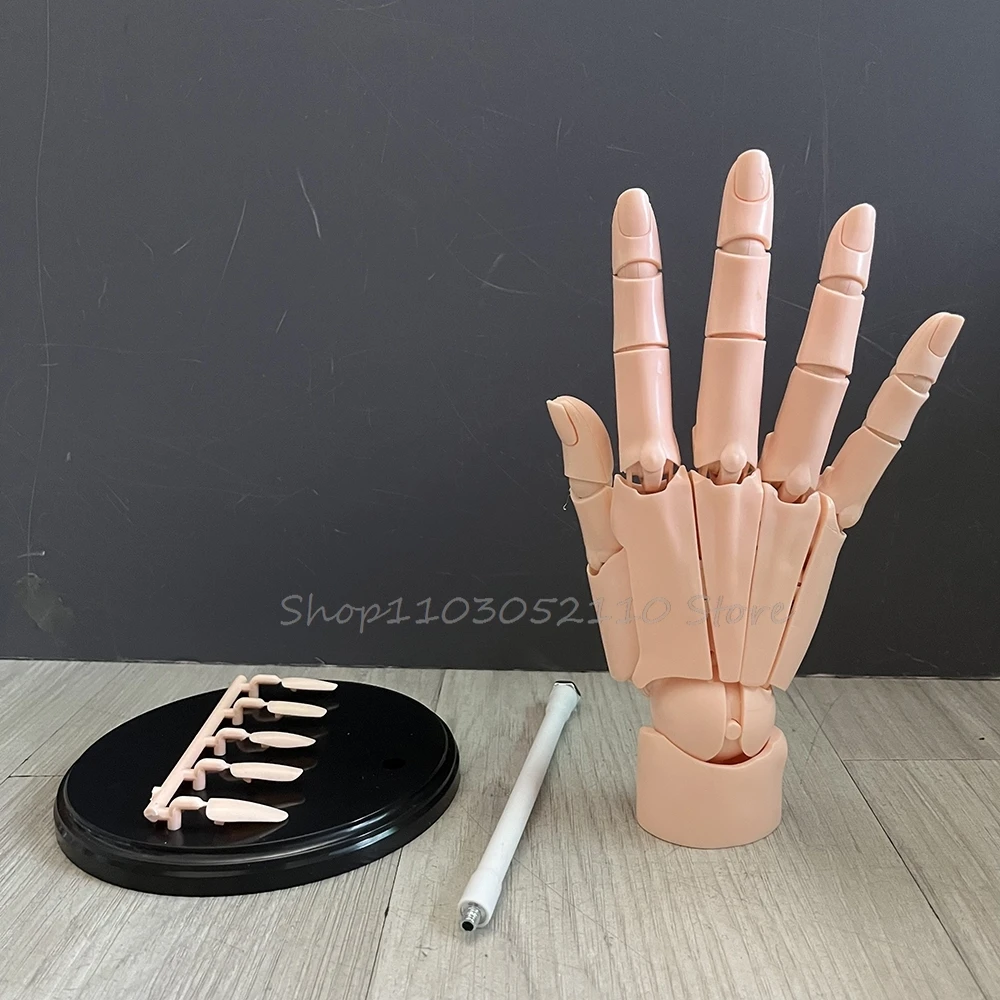 1:1 Handgelenk-Finger-Bionik-Actionfigur, linke und rechte Hand, Simulation zum Zeichnen, Skizzieren, Kunstmalerei, Anime-Körper, bewegliches Handmodell – Detail 16