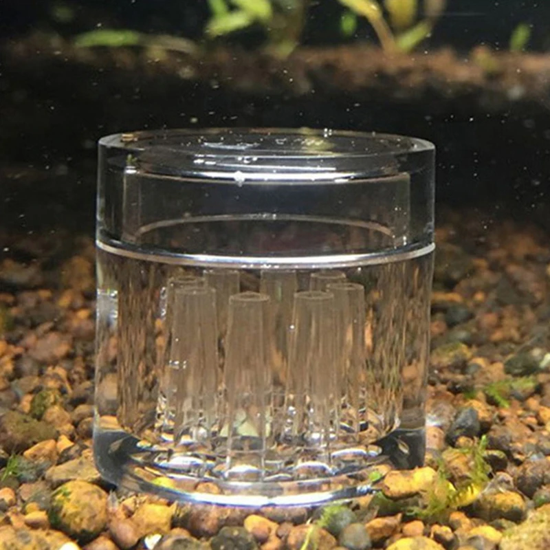 Worm Trap Planarian Trap Leeches Catcher Aquatic Worm Trap Transparent Acrylic Easy to Use