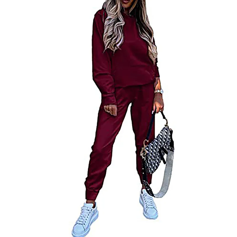 

2023 Autumn and Winter Women's Pullover Hooded Long Sleeve Flocking Solid Pocket Elastic Waist Pants Fashion Casual Sweater Sets