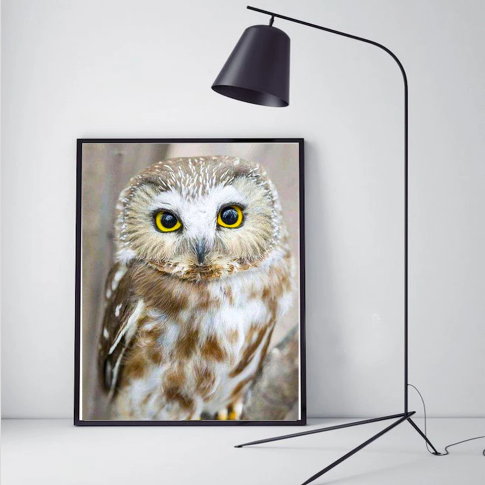 Evershine 5D Diamond Embroidery Owl DIY Animal Diamond Painting Kit Picture Of Rhinestones Handicrafts Gift Home Decoration