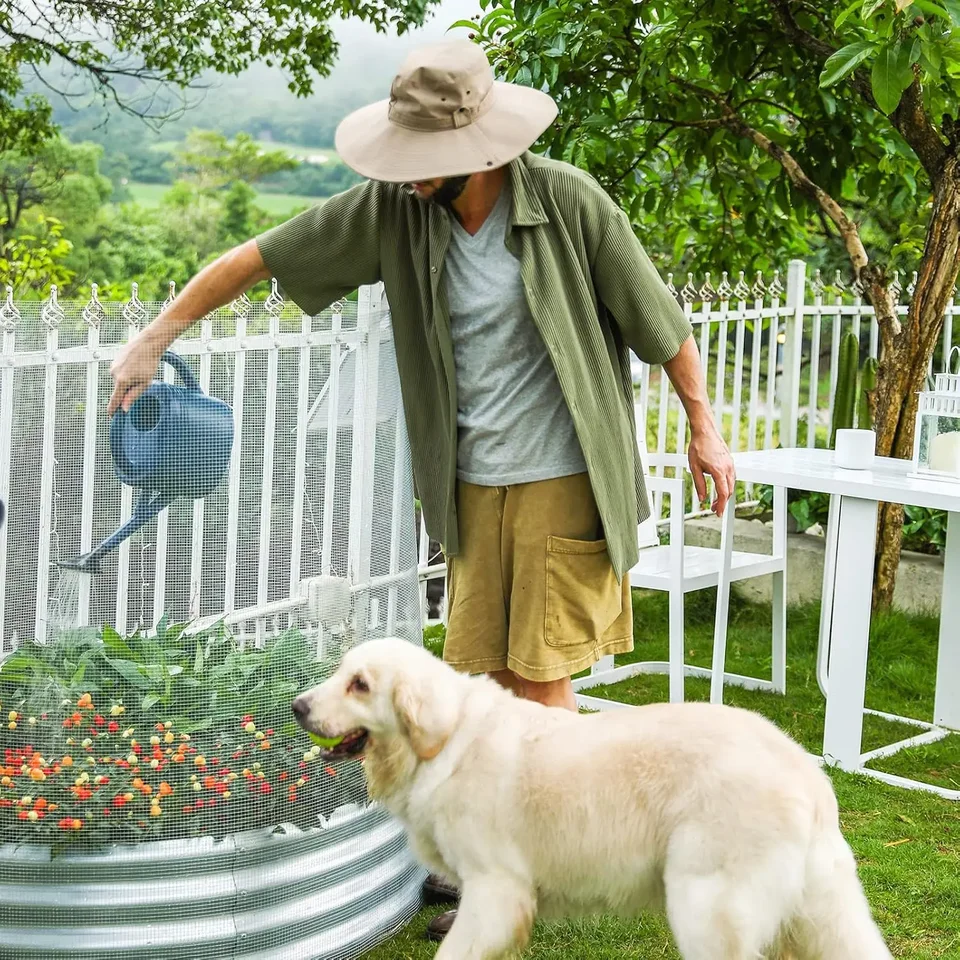 Galvanized 19 Gauge Hardware Cloth Chicken Wire Fence