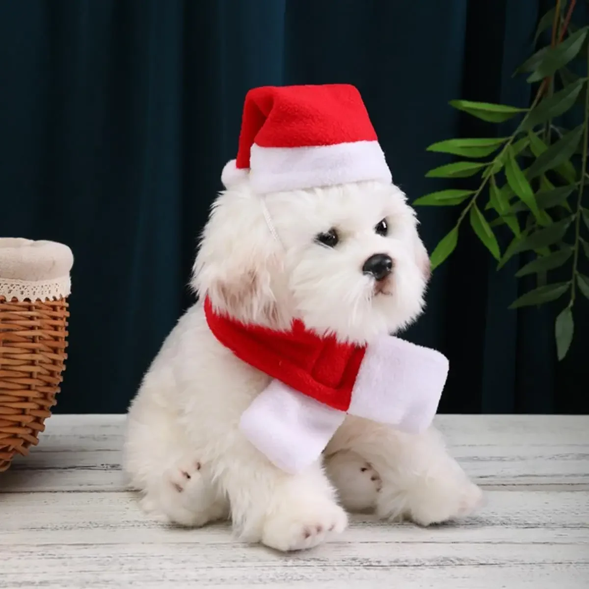 Pet Christmas Costume Santa Hat and Scarf for Small Dogs and Cats
