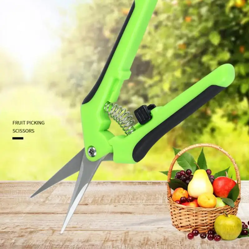 1/2PCS Inch Gardening Hand Pruner Pruning Shear Trimming Scissors Stainless Steel Straight/ Curved Blades for Buds Herbs Flowers