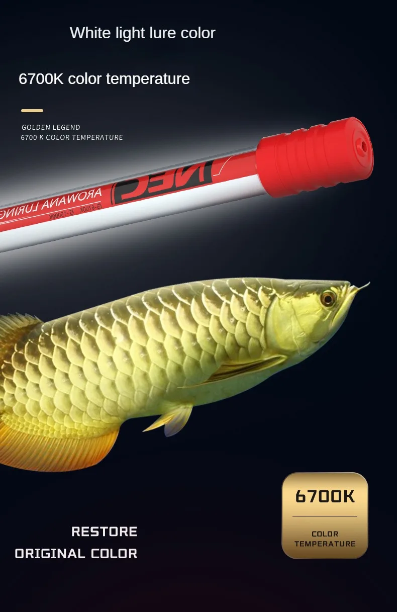 キ*ン様 Arowana Magical Light Series Arowana Special New Upgrade Magic Lamp Aquarium 3-Base Color