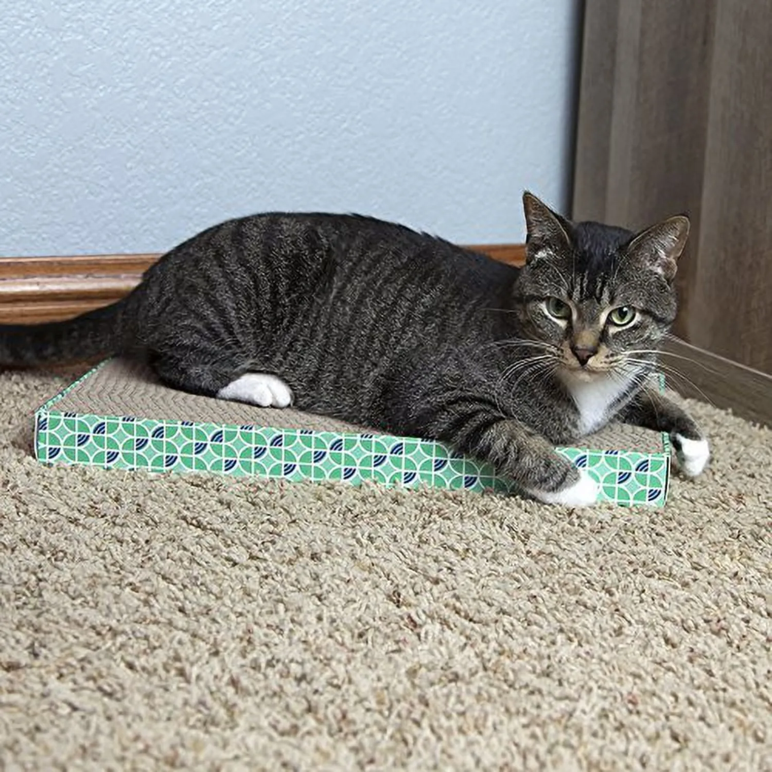 

Wide 3 Pack Corrugate Cat Scratcher Pads
