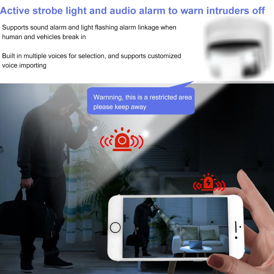 Рисунок 4 - 4-мегапиксельная панорамная револьверная