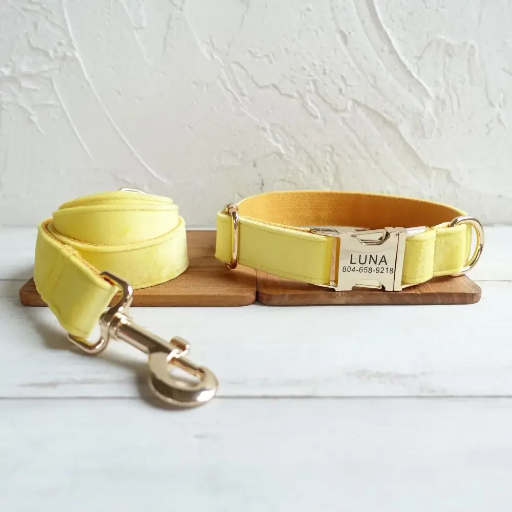 Dog Collar With Free Engraving ID Name Tag