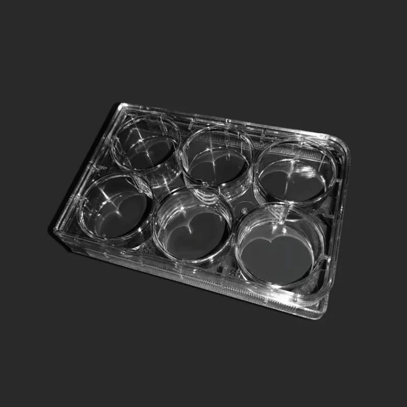 Disposable Cell Culture Plate With Cover PlasticMicroplate Laboratory