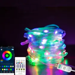 Dreamcolor RGB LED Fairy String Lights - Bluetooth App - Enabled Decor for Christmas, Weddings, and Parties (Fairy String Light)