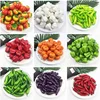 10Pcs/lot Kitchen Toys Foam Mini Simulation Artificial Fruits and Vegetables for Children Pretend Play Toys Miniature Food Toys 1