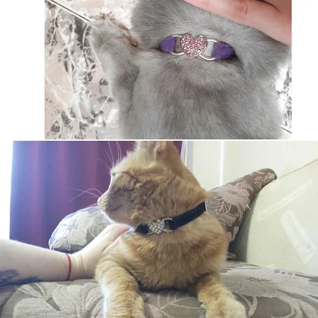8 Colors Adjustable with Soft Velvet Material Pet Product Small Dog Collar Heart Charm and Bell Cat Collar Safety Elastic 5