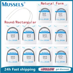 10PCS Dental Orthodontic Arch Wire Stainless Steel Rectangular Round Archwires Natural Form Dentistry Teeth Braces Upper Lower
