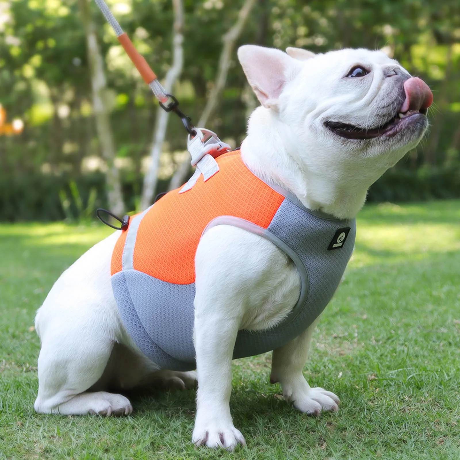 Summer Dog Vest Breathable Walking Dog Costume Tank Top Ice Vest Walking Exercise Hiking Small Cats Clothes одяг для собак 1pc